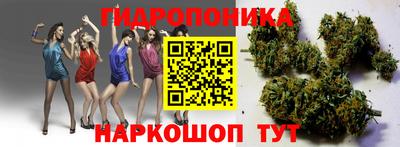 прущие грибы Моздок