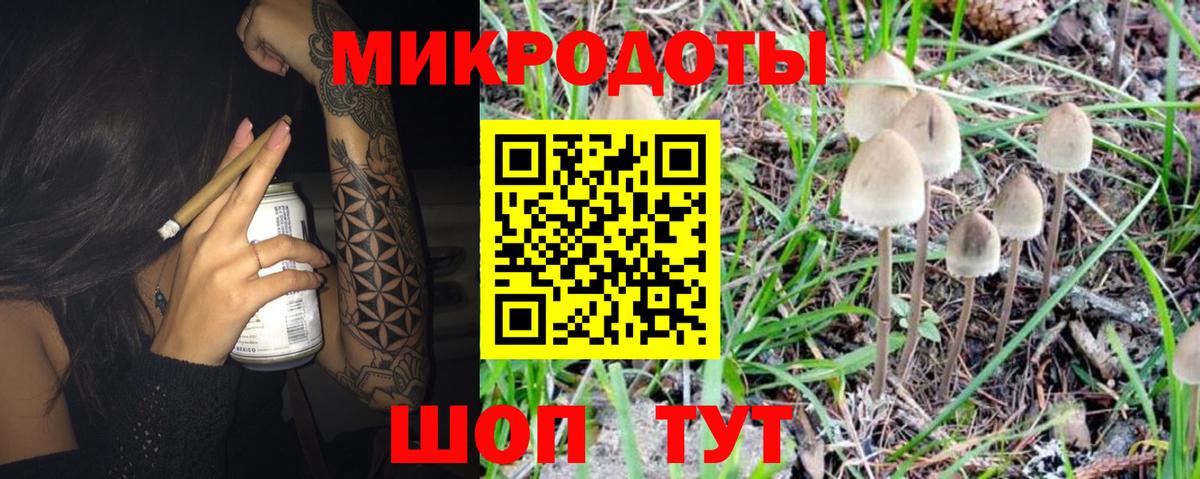 Галлюциногенные грибы мухоморы  Псилоцибиновые грибы мухоморы  Усть-Джегута  Вход с VPN 